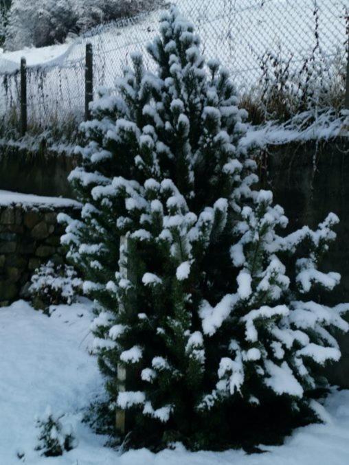 Kaban' Des Neiges Lejlighed Saint-Gervais-les-Bains Eksteriør billede